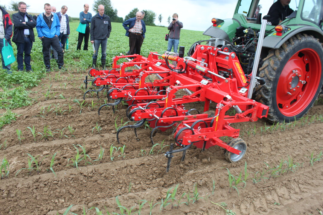 Maistag Oberriexingen 2017