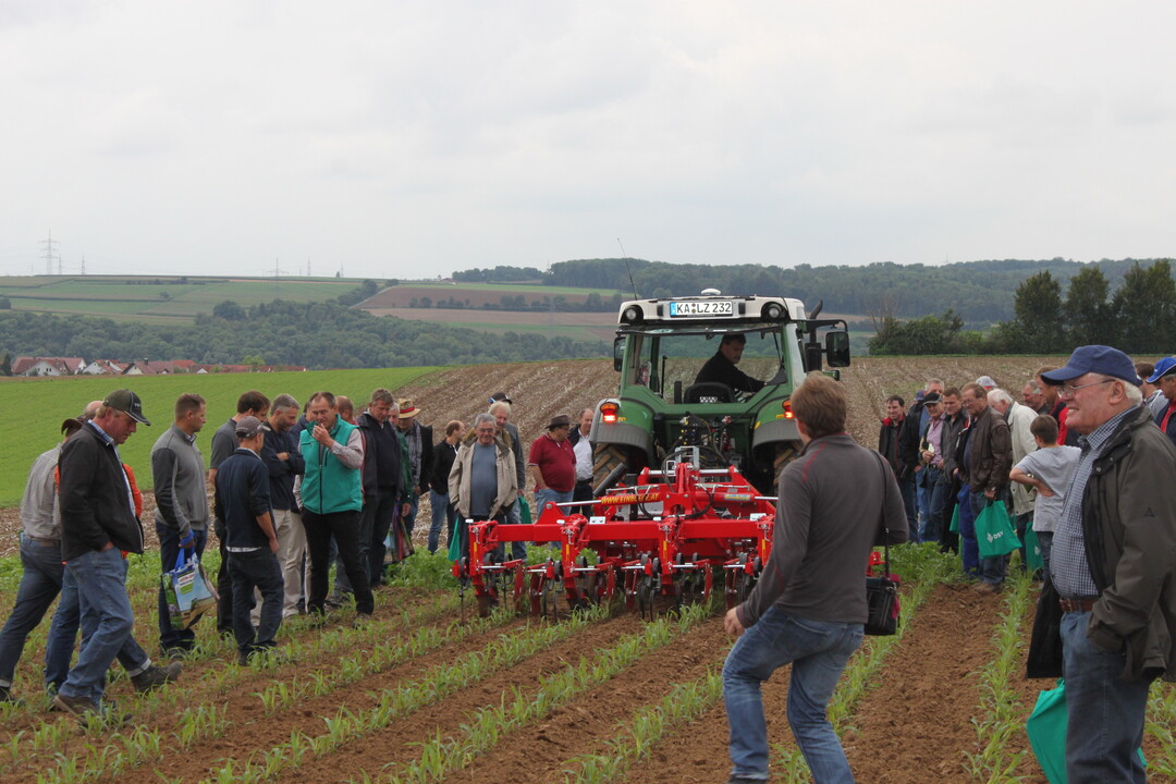 Maistag Oberriexingen 2017