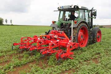 Maistag Oberriexingen 2017