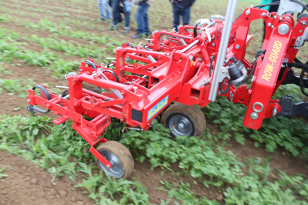 Maistag Oberriexingen 2017