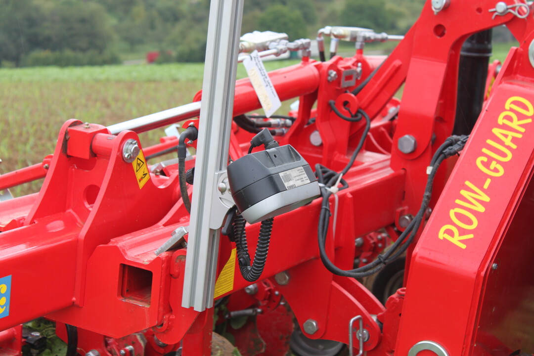 Maistag Oberriexingen 2017