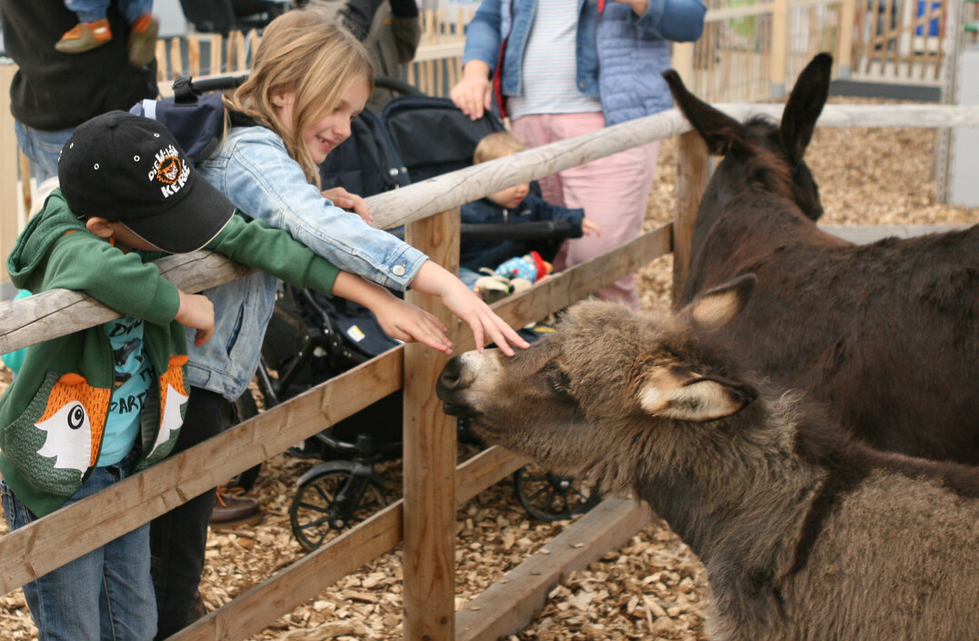 Tiere locken immer die Besucher an.
