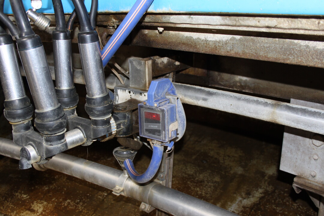 Der Innenmelker von Schr�ppels ist mit einer automatischen Milchmengenmessung ausgestattet.