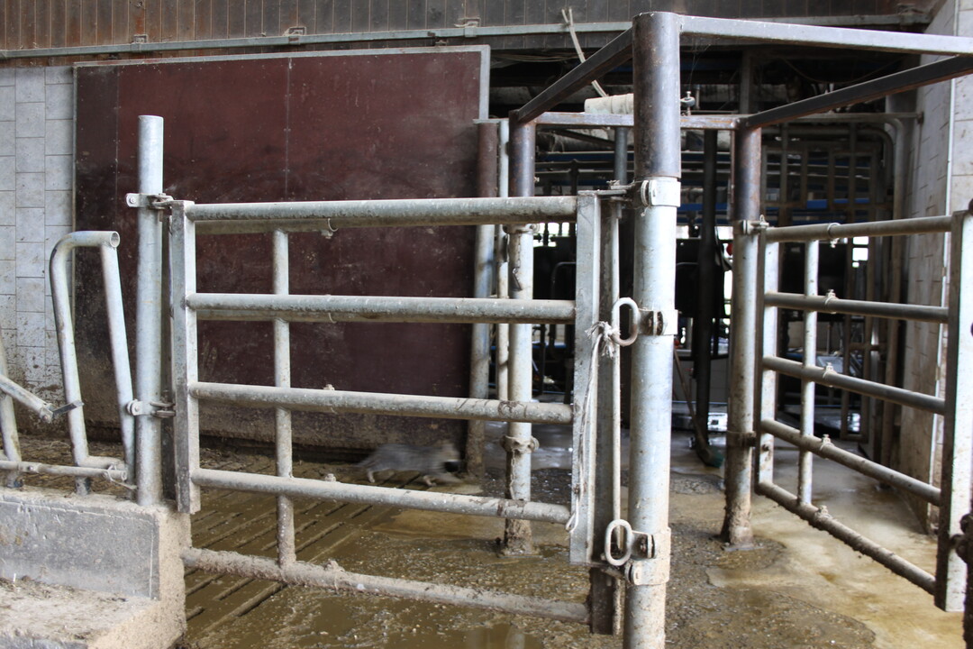 Auf beiden Betrieben schlie�t sich an den Ausgang ein Selektionstor an.