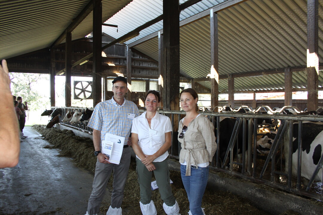 Mit dem Einsatz der Managementhilfe können Tierwohlstandards erfasst, verbessert und dokumentiert werden, bescheinigen (v.l) Uwe Eilers, LAZBW, Prof. Dr. Barbara Benz, HfWU Nürtingen-Geislingen und die Landestierschutzbeauftragte Dr. Julia Stubenbord der App. Das Online-Tool berücksichtige die Anforderungen der zahlreichen kleinstrukturierten Betriebe im Land.