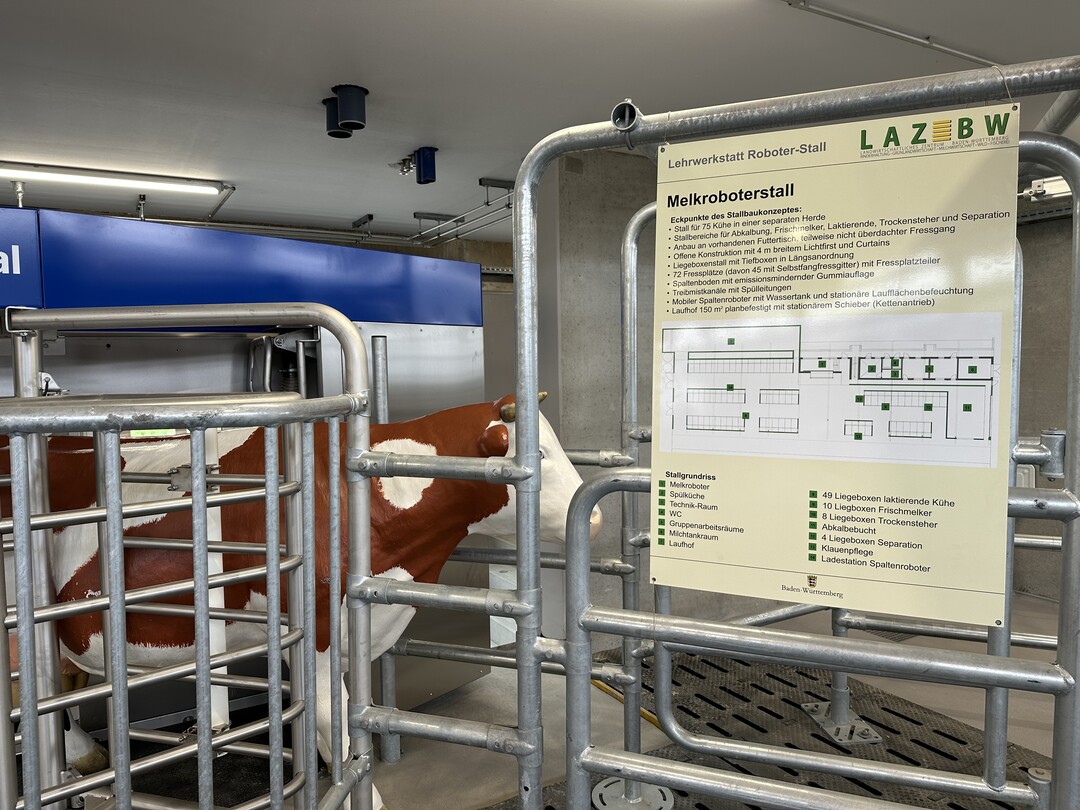 Gemolken wird die Herde künftig über ein automatisches Melksystem von DeLaval, das so ausgestattet ist, dass der Stall auch hier dem Anspruch der Milchviehhaltung 4.0 gerecht wird.