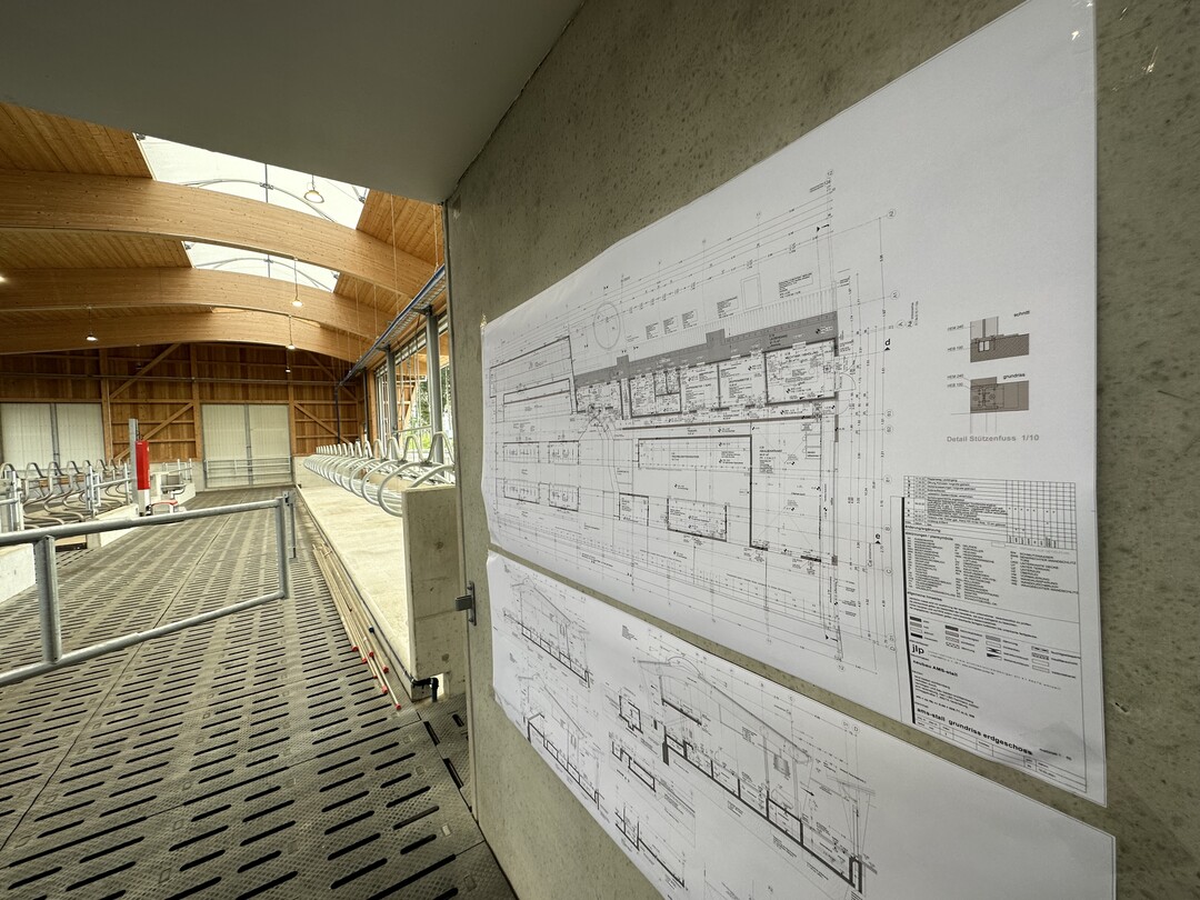 Plan und Blick in den Bereich der laktiernden Kühe