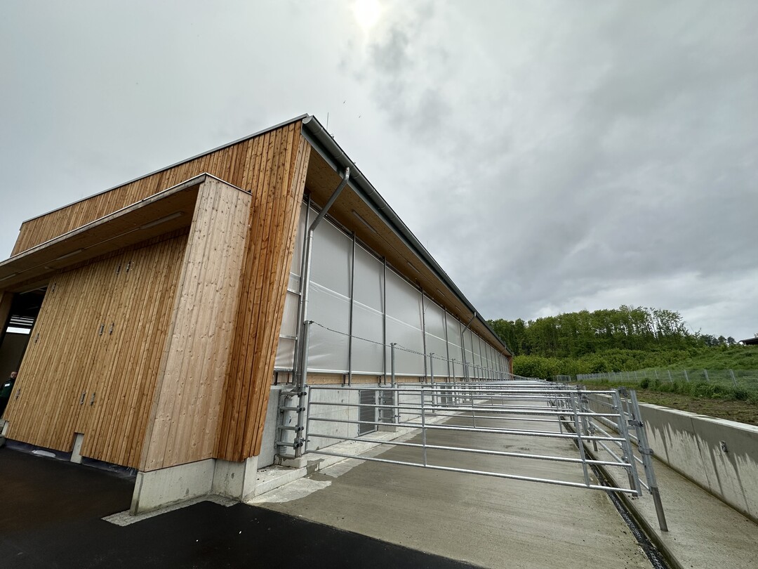 Die eigene Nachzucht im Alter bis zu sechs Monaten findet im neuen Kälberstall Platz. Gebaut wurde der Stall nach dem Holsteiner System, als offene Sheddach-Konstruktion mit sensorgesteuerten Curtains.