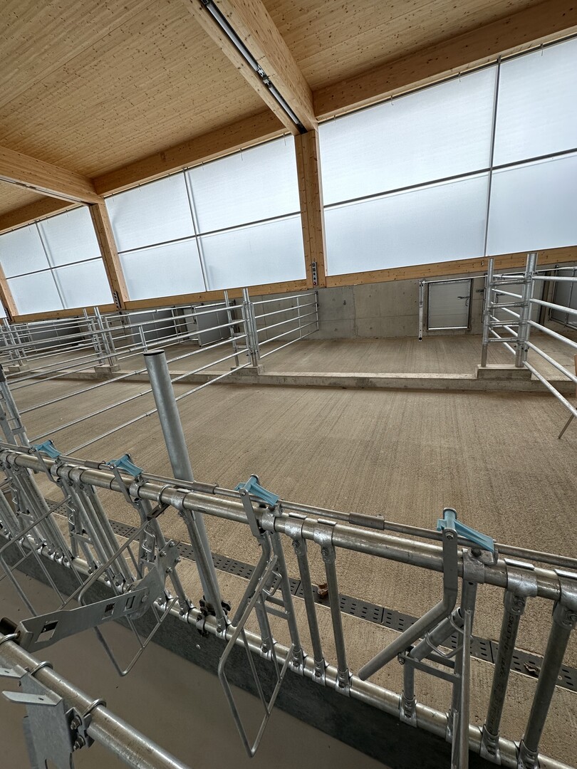 Neben 14 Buchten zur Gruppenhaltung sind 36 Plätze für die Einzelhaltung vorgesehen, in denen die Kälber in den ersten drei Lebenswochen bleiben. Ab der dritten Lebenswoche ziehen die Kälber in die Buchten im Mehrraumstall, die alle in Freß- und Liegebereiche aufgeteilt sind und über einen Außenauslauf verfügen. Die nutzbare Stallfläche pro Tier ist von der Gruppengröße abhängig und variiert zwischen 4,0 bis 5,0 m2 in der Zwei-Flächenbucht plus einem Auslauf von 2,4 bis 3,0 m2.