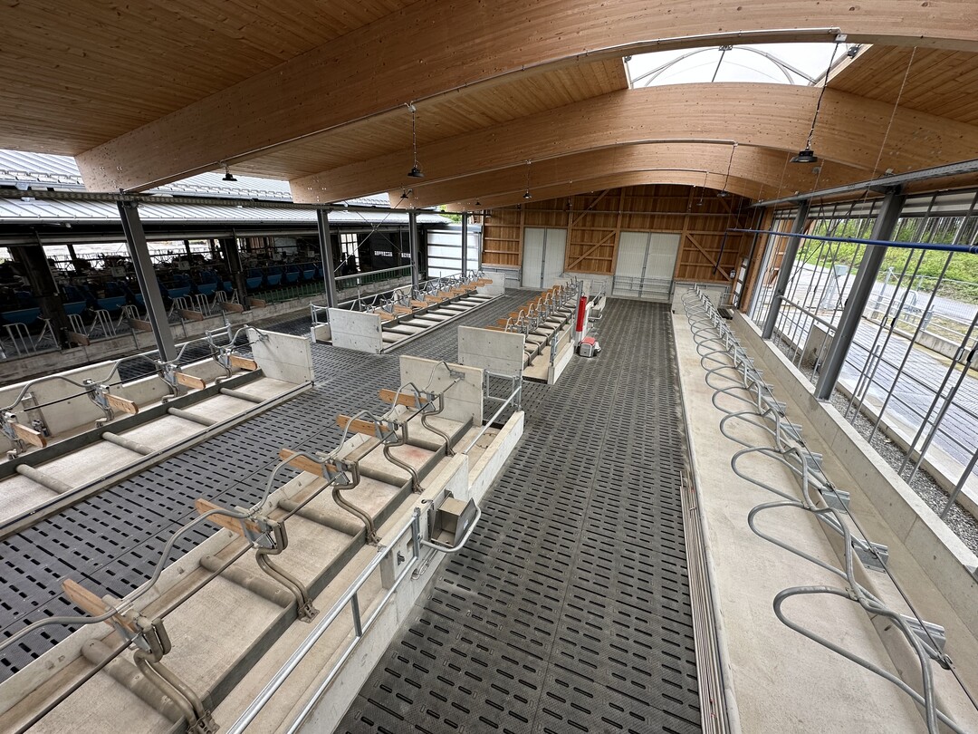 Etwa 150 m2 planbefestigter Laufhof stehen den Tieren zur Verfügung, der ohne Absätze und Treppen gestaltet wurde. Die Entmistung erfolgt über einen stationären Schieber mit Kettenantrieb.