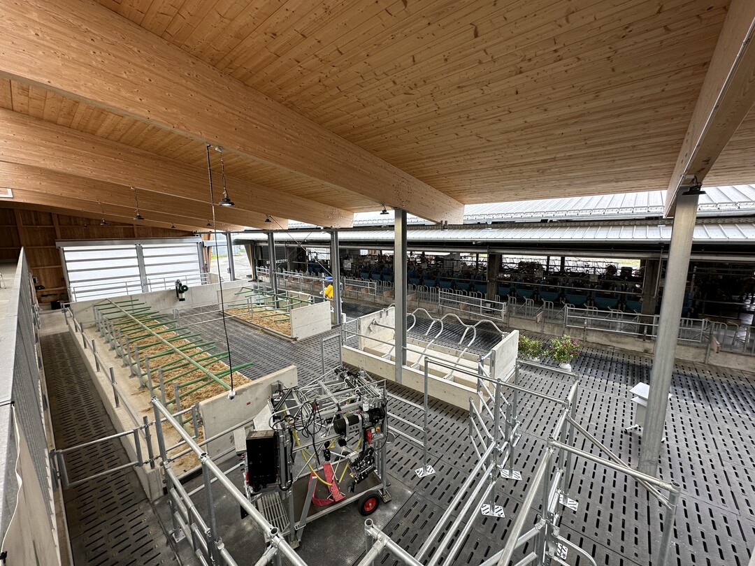 Insgesamt ist der Stall in fünf Bereiche aufgeteilt. So wurden 49 Liegeboxen für laktierende Kühe geplant; zehn Liegeboxen für Frischmelkende und acht Liegeboxen für trockenstehende Kühe. Eine großzügige Abkalbebox steht ebenfalls zur Verfügung. Die Liegeplätze bestehen aus Tiefboxen in Längsanordnung und werden mit Stroh-Mist-Matratzen ausgestattet. Jede Tiergruppe verfügt zudem über eine eigene Putzbürsten fürs Wohlbefinden und Wassertröge mit Schnellablauf. In einem Seperationsbereich finden weitere Tiere Platz. Letzterer ist so angeordnet, dass mit Austritt aus dem Melkroboter die Tiere über ein Tor separiert werden können. Alle Gruppen können durch die intelligente Aufteilung des Stalles an einem Futtertisch fressen. Das bringt Arbeitserleichterung für die Mitarbeiter. Von den insgesamt 72 Fressplätzen wurden 45 mit Selbstfangfressgitter mit Fressplatzteiler ausgestattet, was neben mehr Ruhe für rangniedere Tiere vor allem für Sauberkeit vor dem Freßplatz sorgt.