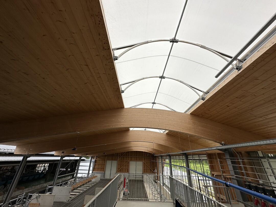 Ein vier Meter breiter Lichtfirst, der mit einem Foliendach inklusive UV-Filter ausgestattet ist, bringt viel Licht in den Stall. An den Seitenbereichen sorgen Curtains für Sonnen- oder Windschutz.