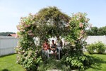 Ein Pavillion verströmt den Duft der Rosen.