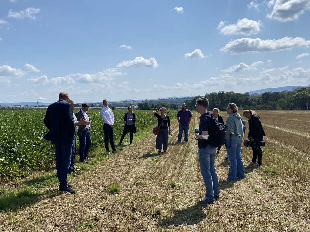 Erntepressekonferenz im Landesbauernverband