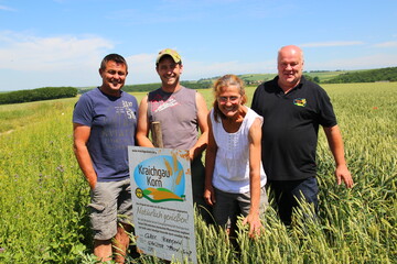 Jacques Herrmann (von links), sein Sohn David und Schwester Evelyn bauen im els�ssischen Duntzenheim den ersten Kraichgaukorn-Weizen auf franz�sischem Boden an. Krachgaukorn-Vorstand Roland Waldi �berzeugte sich vor Ort von der einwandfreien Qualit�t. 