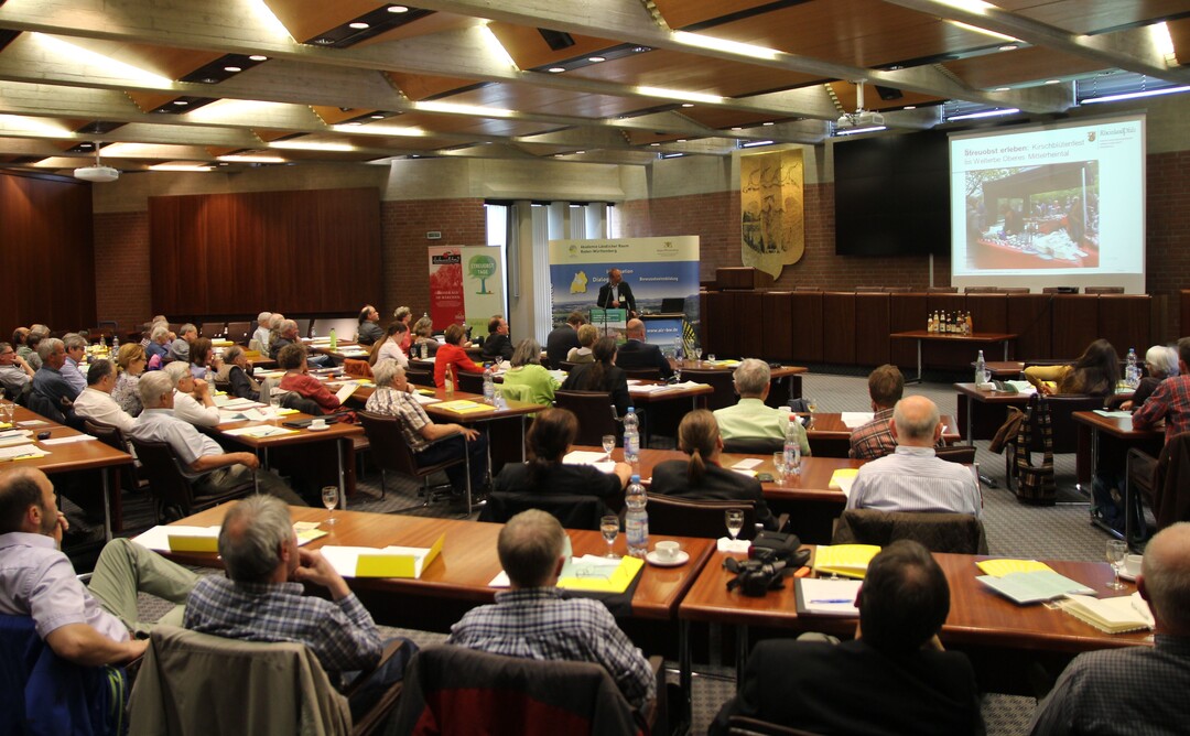 Knapp einhundert G�ste hatten sich im gro�en Sitzungssaal des Landratsamts in Ludwigsburg eingefunden.