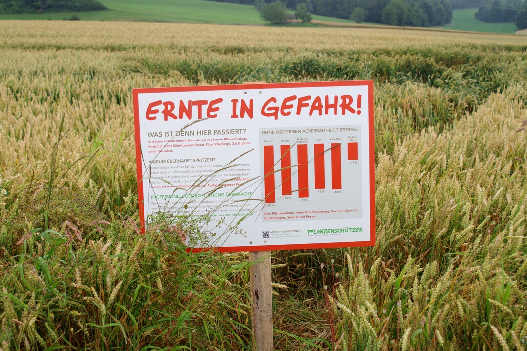 Ein Schild der Aktion im Kornfeld