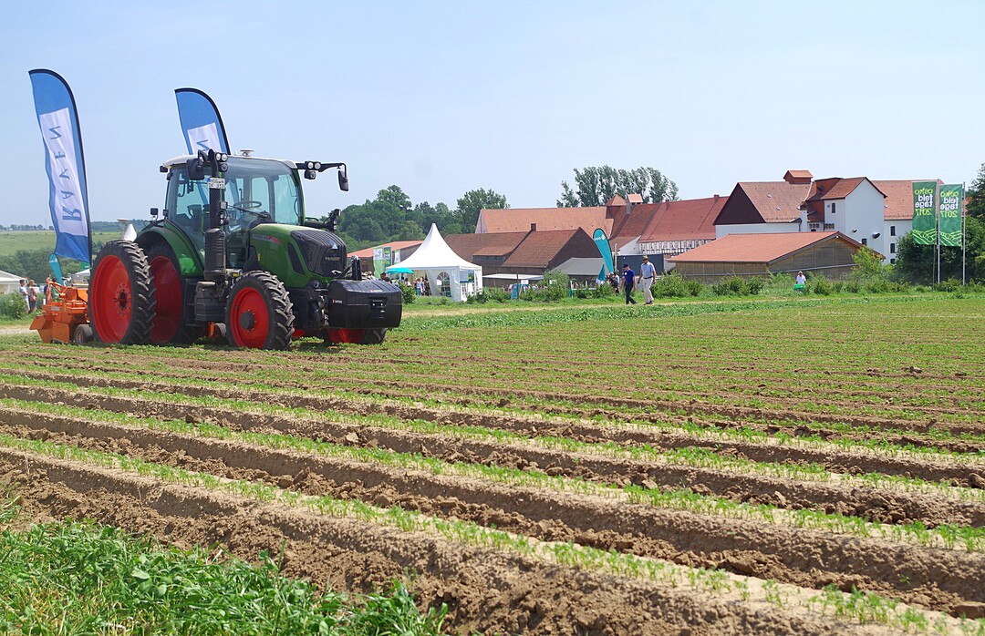 �kofeldtage in der N�he von Kassel. Besucher besichtigen ein Karottenfeld vor der Hessischen Staatsdom�ne Frankenhausen.