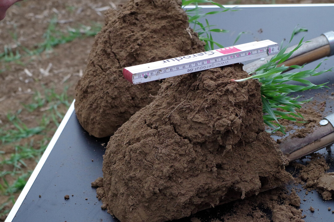 Einen schnellen �berblick �ber den Boden soll das neue Buch eines Hohenheimers Wissenschaftlers bieten.