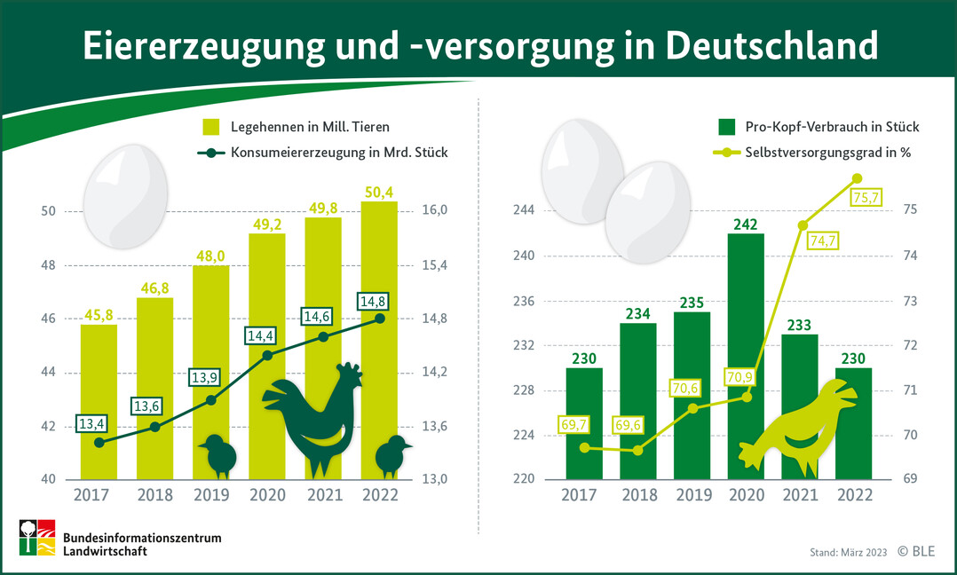 In Deutschland wurden 2022 weniger Eier konsumiert als in den Vorjahren. Dagegen stieg die Eiererzeugung an.
