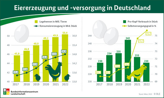 In Deutschland wurden 2022 weniger Eier konsumiert als in den Vorjahren. Dagegen stieg die Eiererzeugung an.