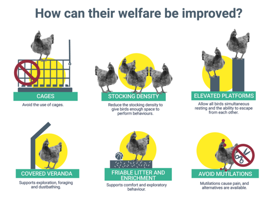 Die ESFA-Gutachten bewerten jeweils Haltungssysteme f�r Masth�hnchen und Legehennen, die in der Europ�ischen Union zum Einsatz kommen, nach festgelegten Tierwohl-Indikatoren.