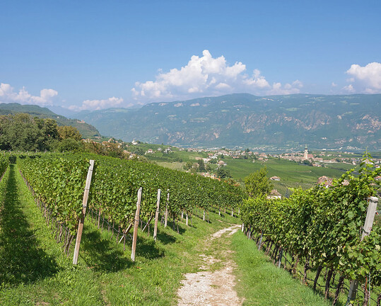 An der S�dtiroler Weinstra�e liegt der bekannte Ort Eppan.