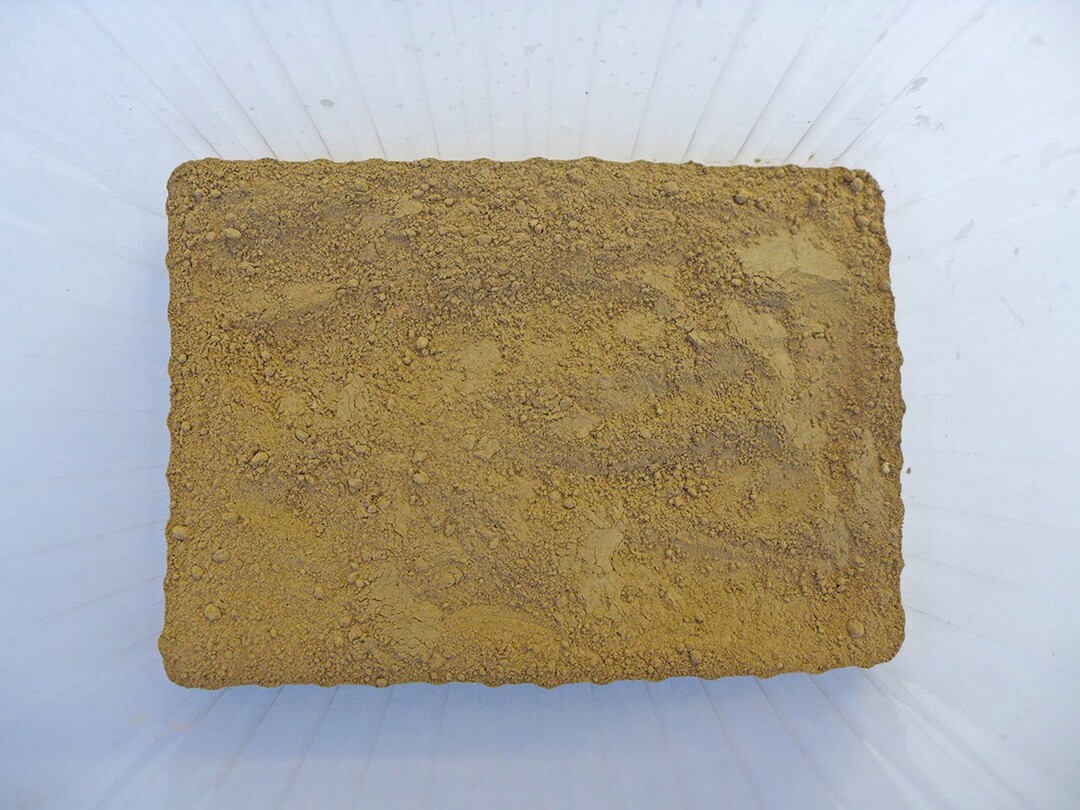 Das Futtermittel der Zukunft? Insektenmehl aus den Larven der Schwarzen Soldatenfliege.