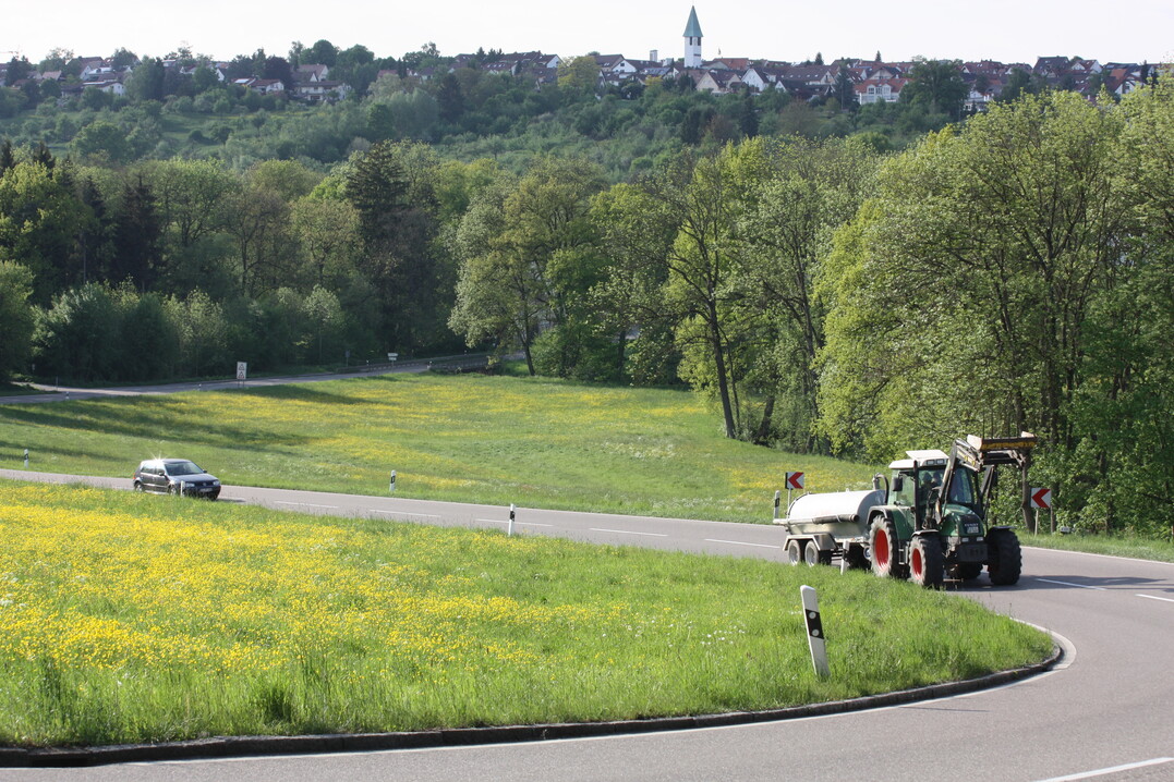 Die neue Agrarstrukturerhebung informiert unter anderem über Hofzahlen, Tierhaltung und Ökolandbau.