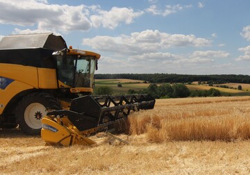 Erste Ernteergebnisse aus dem s�dbadischen Rheintal sind besser als bef�rchtet