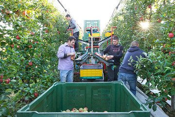 Bei verschiedenen Touren k�nnen Interessierte im Rahmen der Interpoma im November Einblick in S�dtirols Apfelanbau erhalten. 
