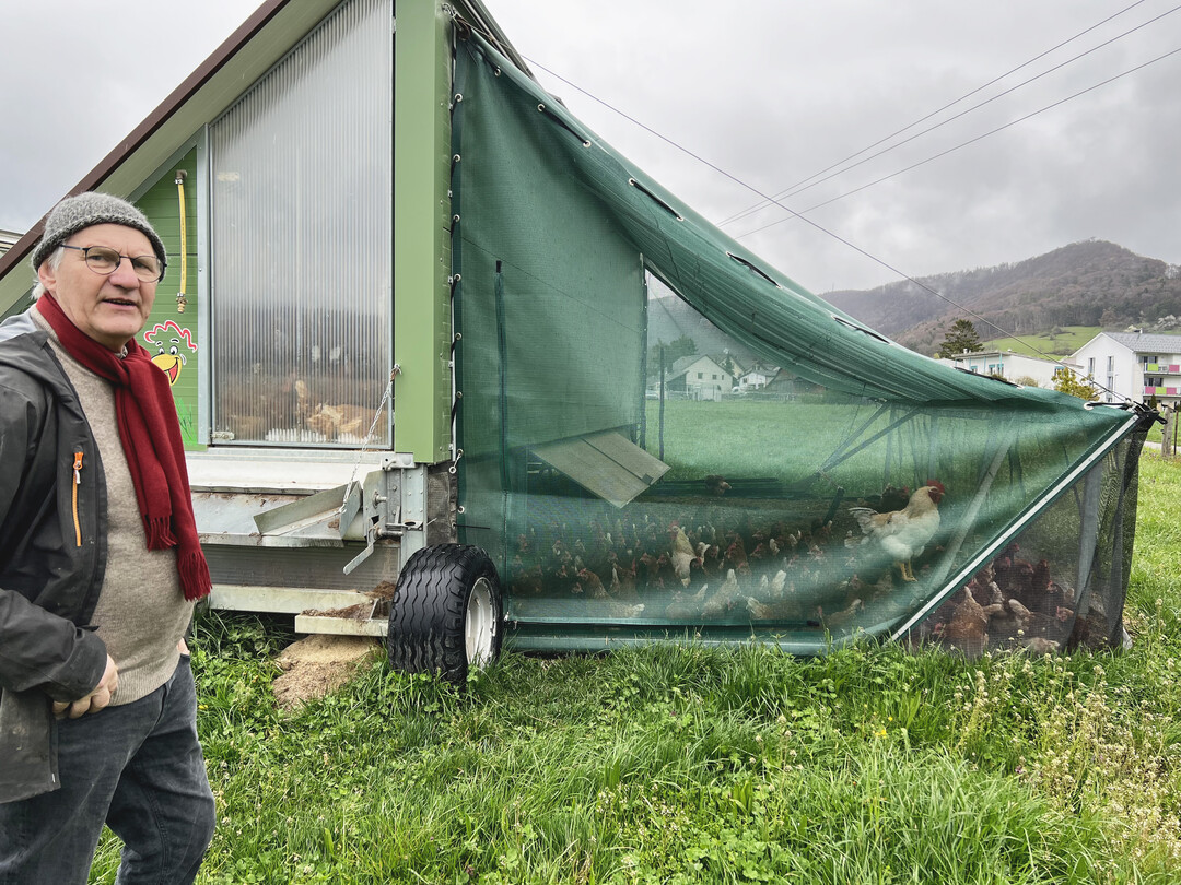 In der Schweiz besteht gerade aufgrund der Gefl�gelpest Aufstallungspflicht. Herman Lutke Schipholt hofft, dass er seine Tiere bald wieder ins Freie lassen kann.
