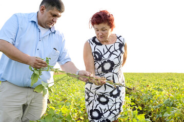 �kolandwirtin Valerija Balint und Bane Jeremov, Direktor Lieferketten bei der Initiative Donau Soja.