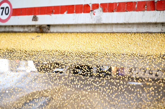 Sojaanlieferung an die Ölmühle Bankom der Initiative Donau Soja in Obrenovac, Region Vojvodina.