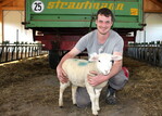 Schafe sind eine große Leidenschaft von Johannes Kieble. Für seine Tiere hat der Landwirtschaftsmeister aus Bergatreute unlängst einen neuen Stall gebaut.