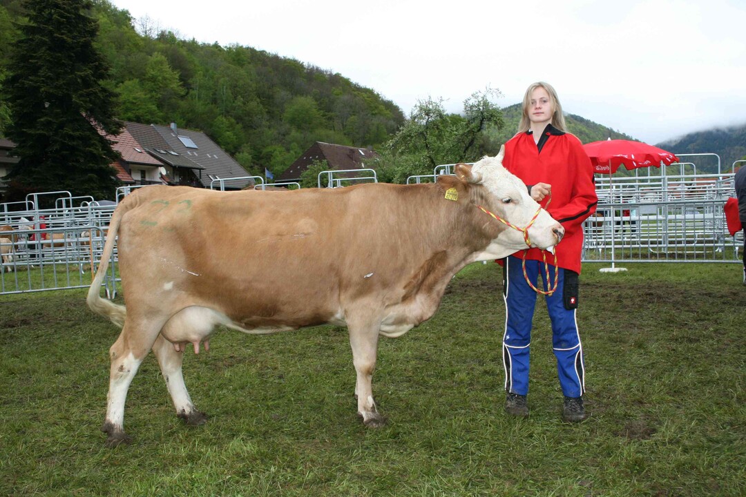 Jungkuh Res: Jungkuhreservesiegerin wurde die Humhumatochter Ronja von Manfred Kuttler aus dem Kleinen Wiesental- Raich- Hohenegg mit zwei Abkalbungen.