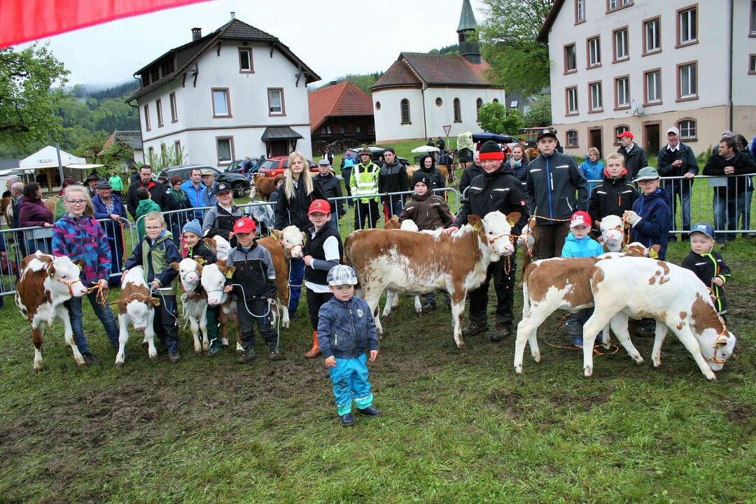 Jungzüchter: 14 Jungzüchterkinder nahmen mit Begeisterung am Vorführwettbewerb teil und hatten dabei ihre helle Freude.