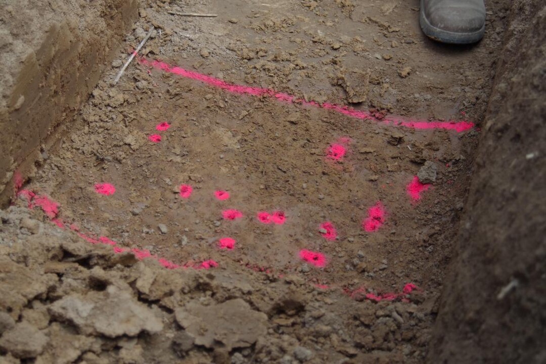 Selbst unter der Pfugsohle bohren zahlreiche Regenwürmer ihre Gänge durch den Boden.