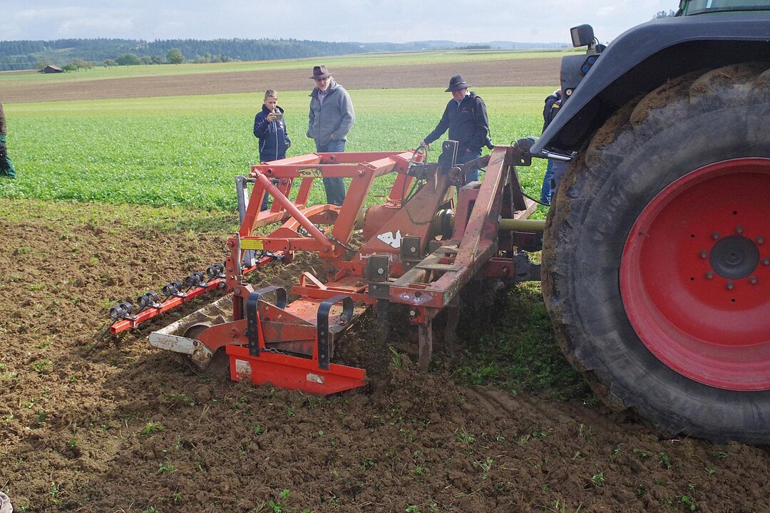 Die Zinken und Kreisel des von einem Landwirt selbst zusammengestellten Ger�ts rei�en den Boden auf und vermischen ihn. 