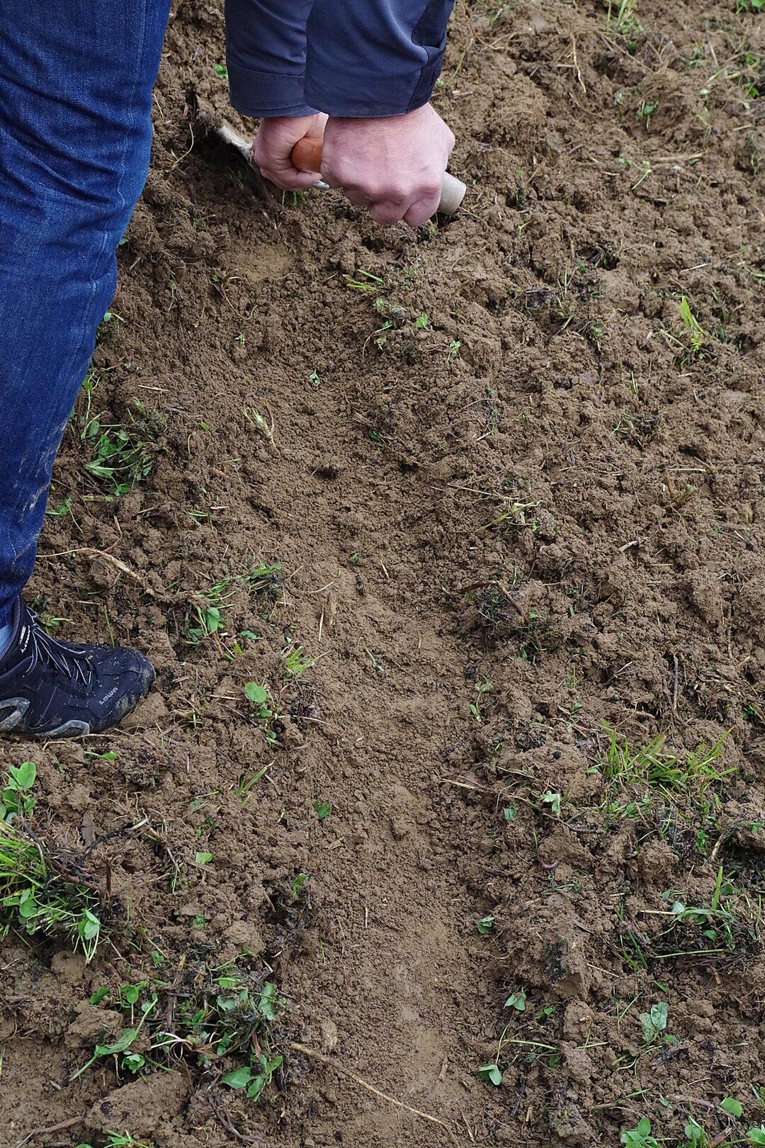 Das Bodenprofil ist fl�chig, leicht gewellt und f�r ein oberfl�chliches Grubbern etwas tief. Der hinterlassene Boden ist relativ fein. "Das Ger�t enterdet sogar einige Wurzeln", merkt Kern an.