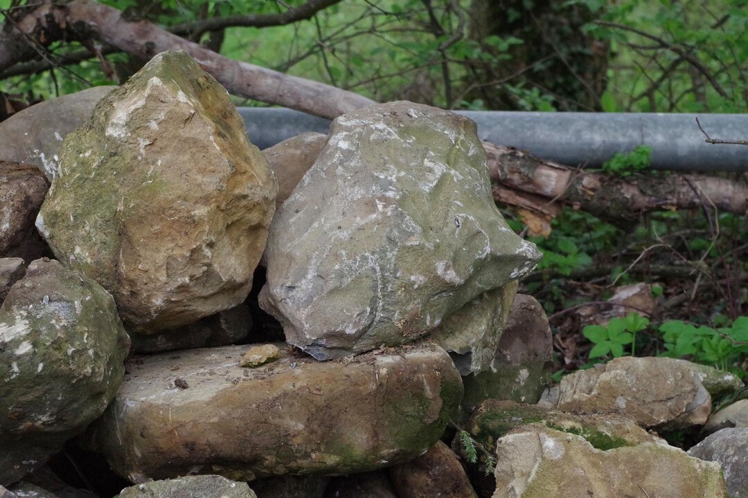 Steinhaufen am Feldrand sind ein Zuhause für Eidechsen und kleine Säuger wie Mauswiesel.