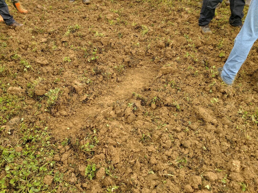 Der TGA 300 schneidet, wie der gro�e Bruder TGA 500, sehr fl�chig. Die anwesenden Landwirte zeigten sich mit dem gleichm��ig flachen Horizont zufrieden. 