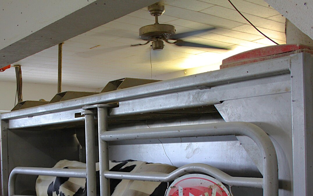 Allerdings kann bereits ein kleiner Ventilator im Melkbereich mit seinem Luftstrom Fliegen fernhalten. Es braucht nicht immer gro�es Ger�t.