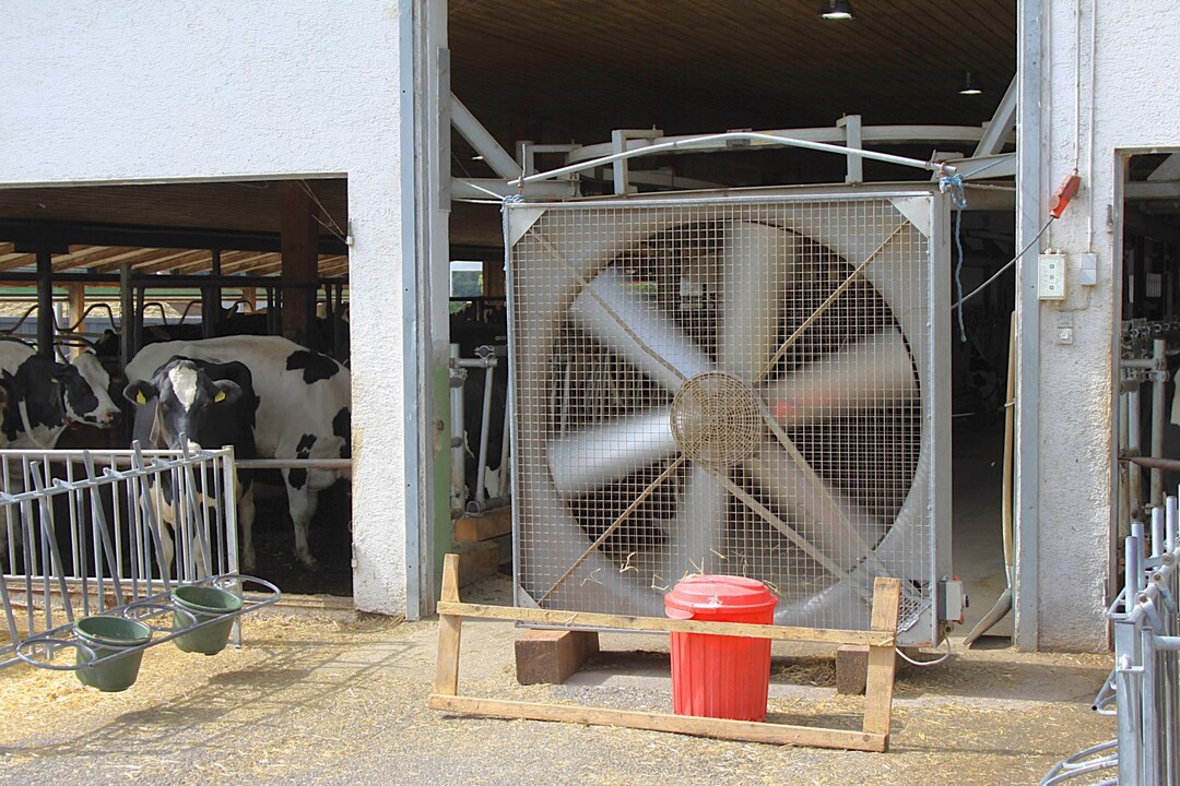 Ein guter Luftfluss l�sst sich mit Kreativit�t auch in �lteren Laufst�llen realisieren.