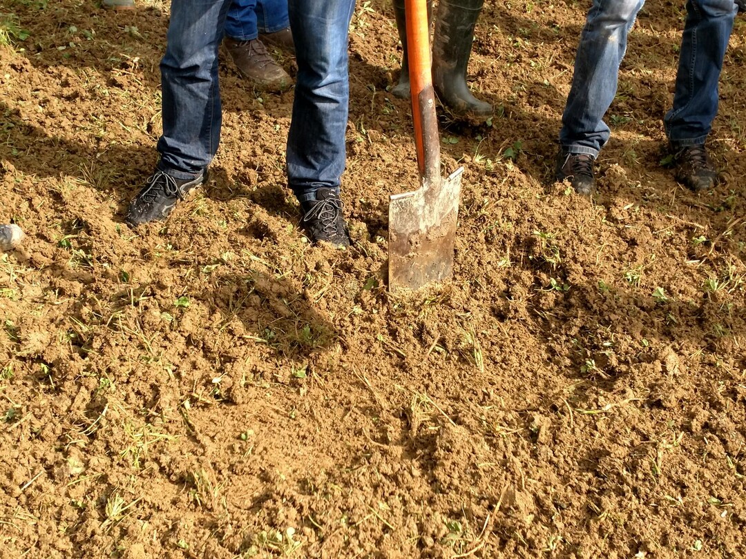 Die Fr�se hat eine Tiefenf�hrung und arbeitet gleichm��ig flach. Sie verstopft trotz Feuchte nicht, und das, was hintern rauskommt, ist "Extrem fein", sagt Jonathan Kern. Die lockere Erde und die Pflanzenreste k�nnen nach der �berfahrt gut antrocknen. Durch die gute Bel�ftung w�rden die Pflanzenreste laut dem Besitzer der Fr�se verrotten und faulen nicht.