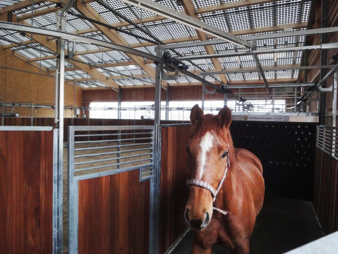 Indachsystem mit Modulen mit transparenter R�ckseitenfolie und dadurch einem sehr geringen Eigengewicht.