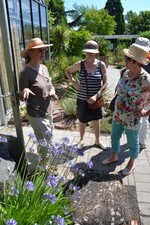 BWagrar Gartenfahrt am 1.7. 2015 Baumschule Huben Ladenburg