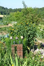 BWagrar Gartenfahrt am 1.7. 2015 Garten Hauk Ehrstädt