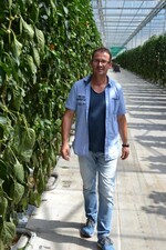 Paprika aus dem Hegau-das Gewächshaus ist 400 m lang