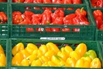 Paprika aus dem Hegau-Blockpaprika kommen meist lose in Kisten